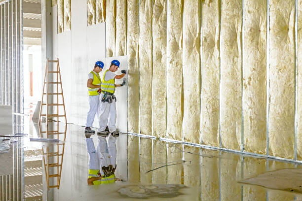 Best Cellulose Insulation  in East Los Angeles, CA